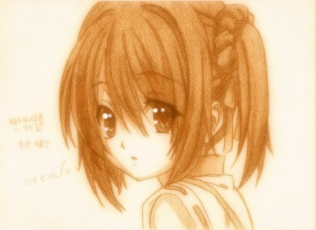 織田信奈の野望　竹中半兵衛